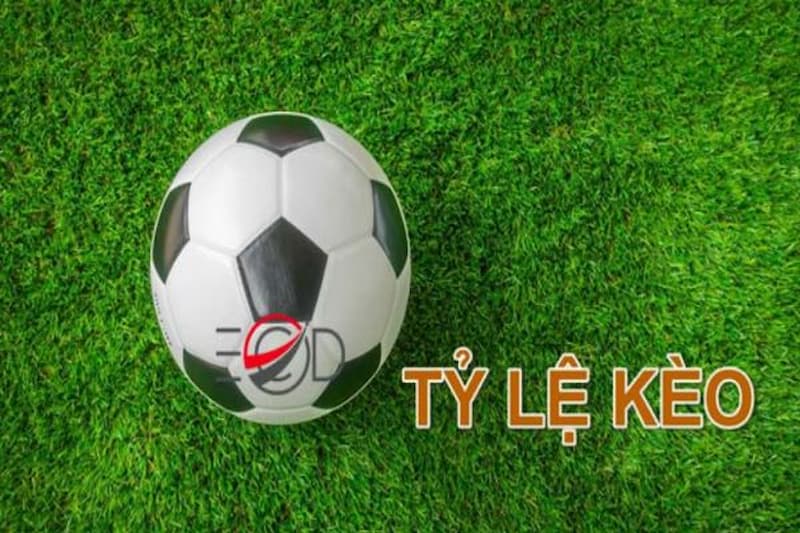 Cách tính kèo tỷ số kèo bóng đá
