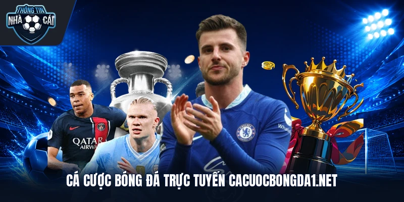ca cuoc bong da truc tuyen cacuocbongda1 net Cá cược bóng đá trực tuyến cacuocbongda1.net