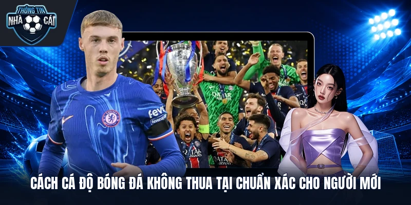 cách cá độ bóng đá không thua