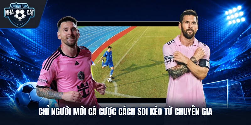 chi nguoi moi ca cuoc cach soi keo tu chuyen gia Chỉ người mới cá cược cách soi kèo từ chuyên gia