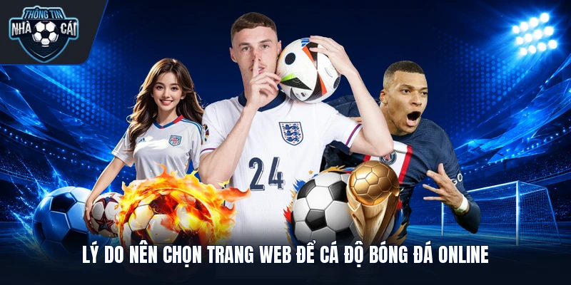 Lý do nên chọn trang web để cá độ bóng đá online