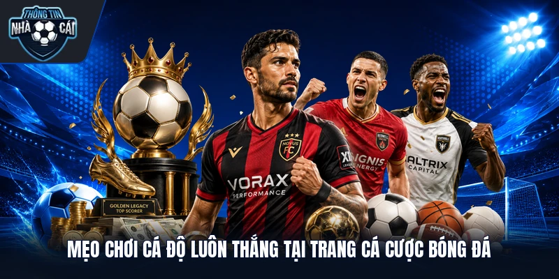 Mẹo Chơi Cá Độ Luôn Thắng