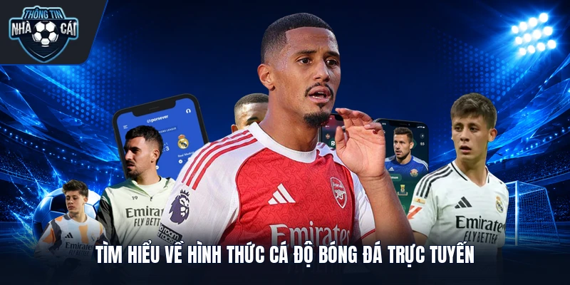 Tìm hiểu về hình thức cá độ bóng đá trực tuyến