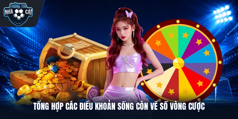 Tổng hợp các điều khoản sống còn về số vòng cược