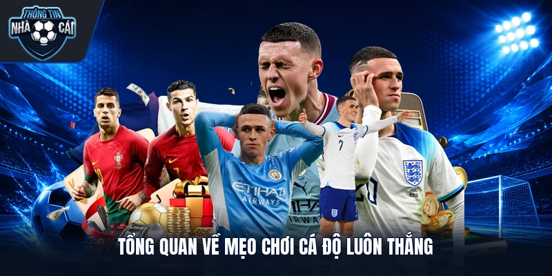Tổng quan về mẹo chơi cá độ luôn thắng