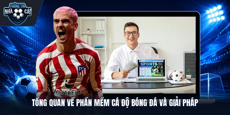 Tổng quan về phần mềm cá độ bóng đá và giải pháp